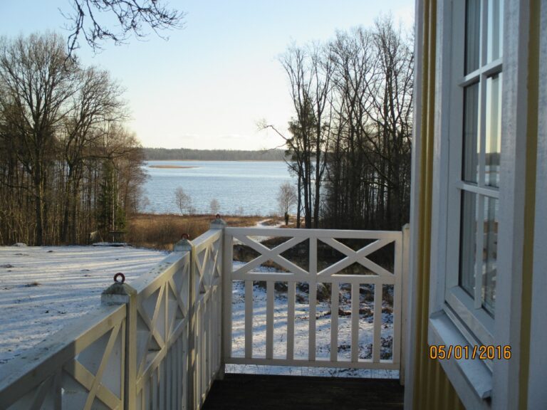 Blick vom Sauna - Balkon auf den See und die in Kälte erstarrte Umgebung