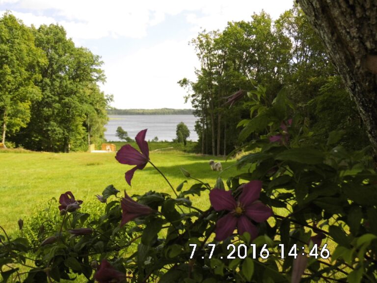 Aussichtsplatz mit Treppe zum See